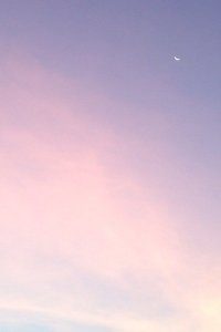 布莱克本喜获胜利，重返胜利轨道