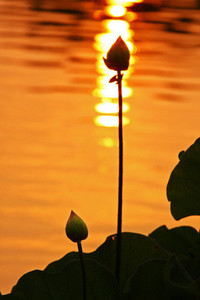 林肯城客场大胜，取得重要三分