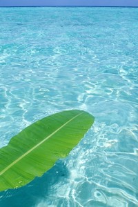 林肯城客场大胜，取得重要三分