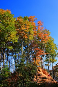 赛前预测：欧国联比赛胜负分析