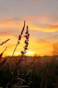 布莱克本喜获胜利，重返胜利轨道