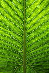 罗马遇困难抉择，库拉萨中场激战待观察