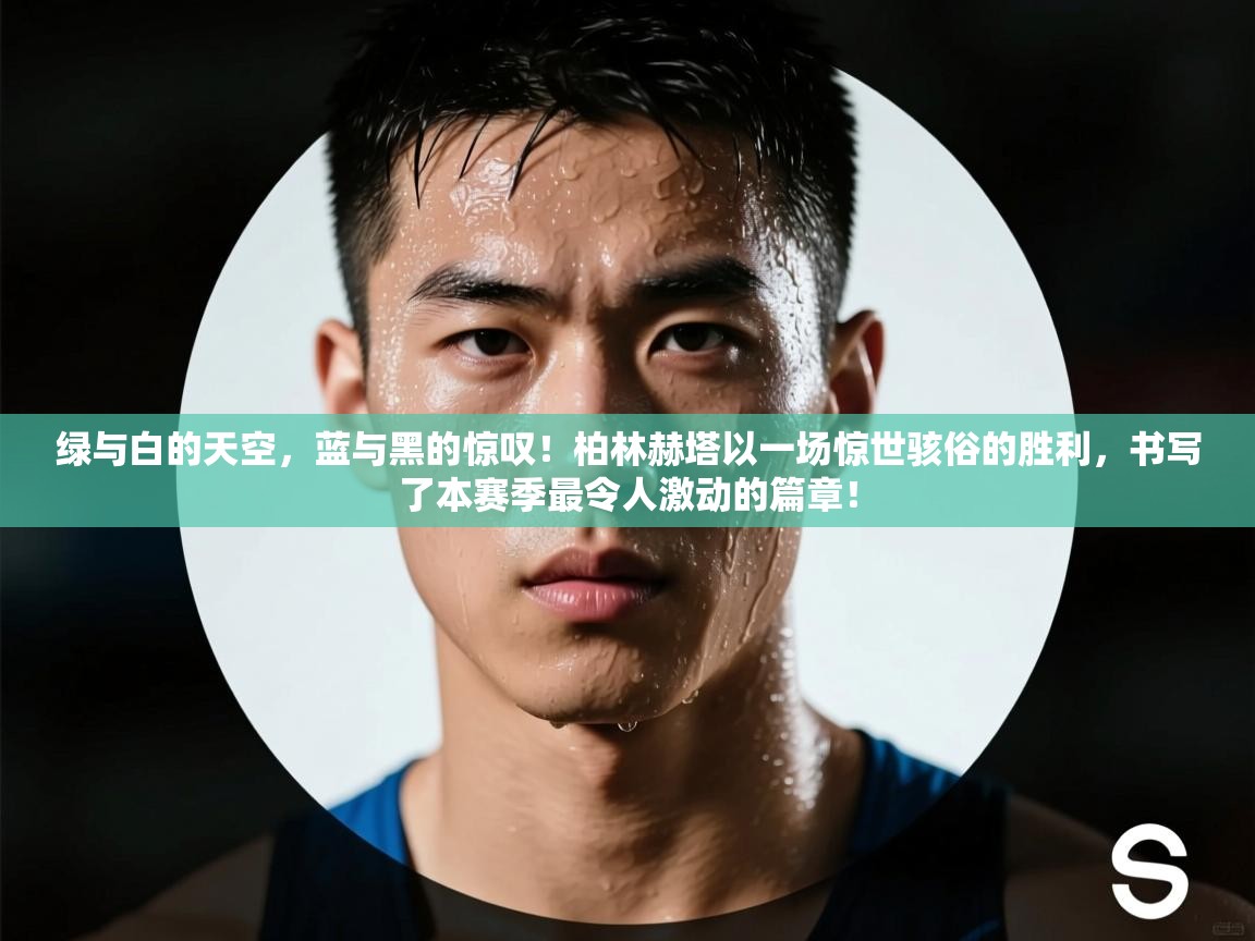 绿与白的天空，蓝与黑的惊叹！柏林赫塔以一场惊世骇俗的胜利，书写了本赛季最令人激动的篇章！  第2张