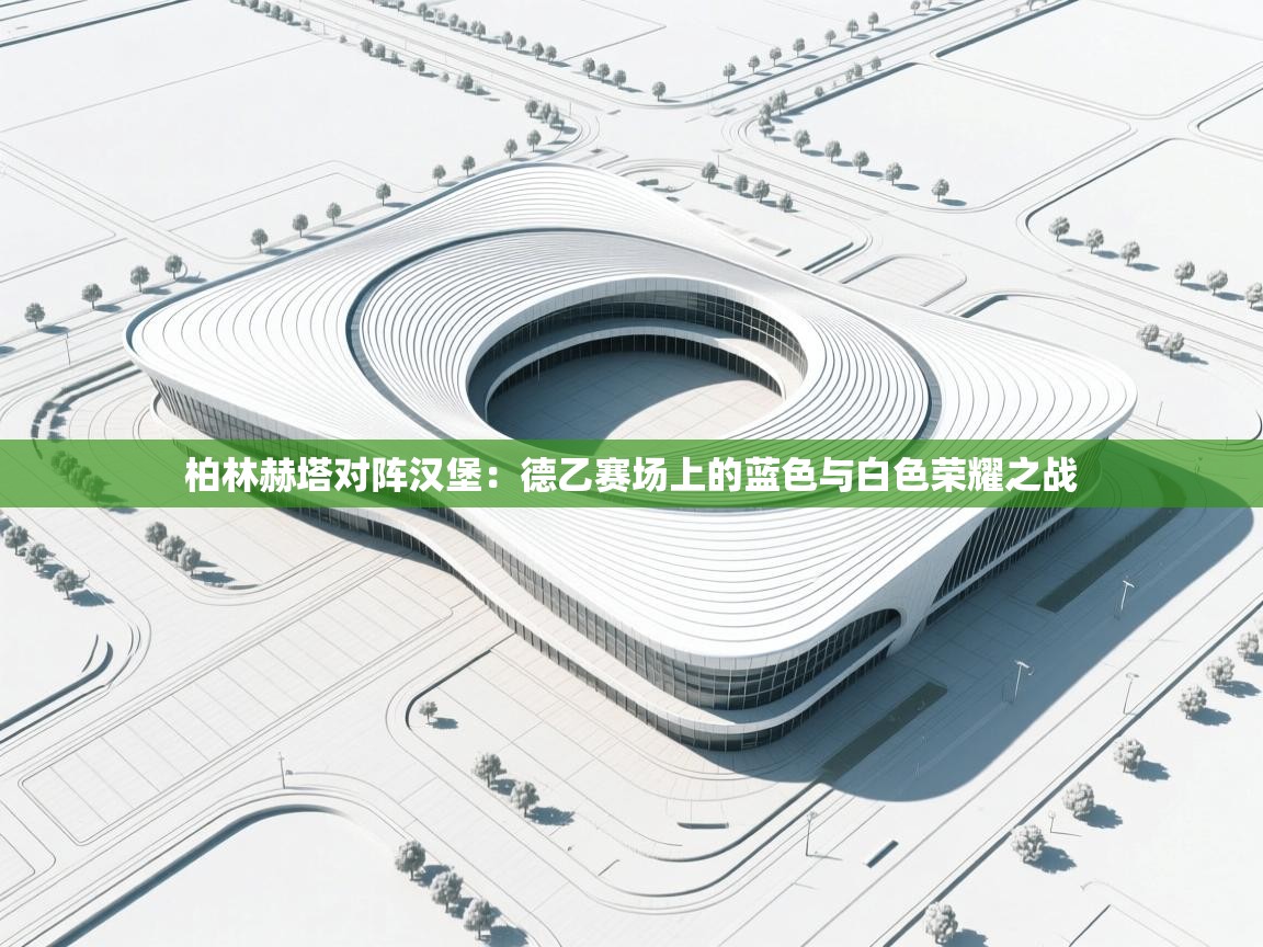 柏林赫塔对阵汉堡：德乙赛场上的蓝色与白色荣耀之战  第2张